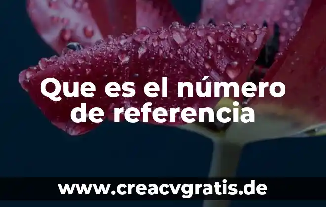 Que es numeral y numero 4 Que es el número de referencia