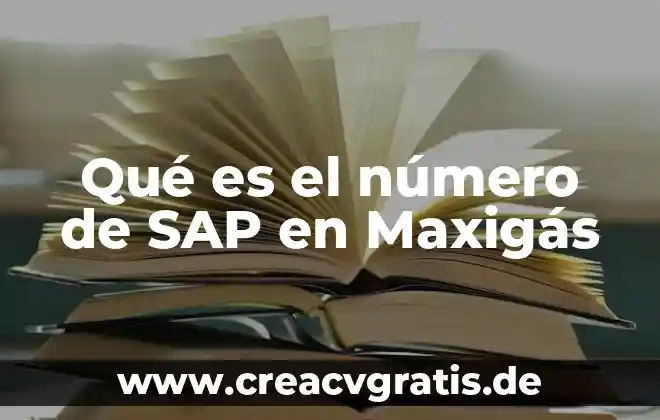 Integration framework sap business one que es 6 Qué es el número de SAP en Maxigás
