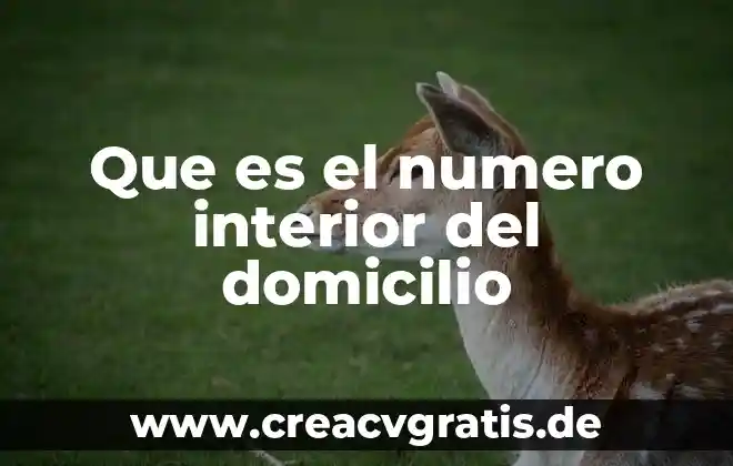 Qué es el número neutronic 7 Que es el numero interior del domicilio