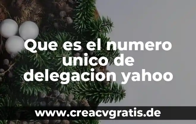 Qué es un número real y cómo se clasifican 4 Que es el numero unico de delegacion yahoo