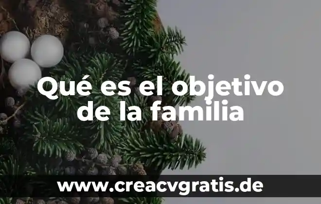Qué es el tiempo y sus tipos 3 Qué es el objetivo de la familia