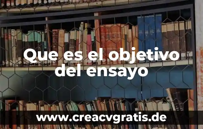 Que es o que se significa derechos y obligaciones 7 Que es el objetivo del ensayo