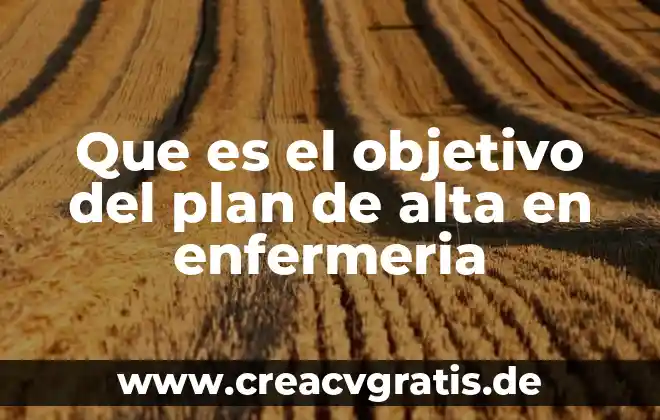 Que es un objetivo educacionales 4 Que es el objetivo del plan de alta en enfermeria