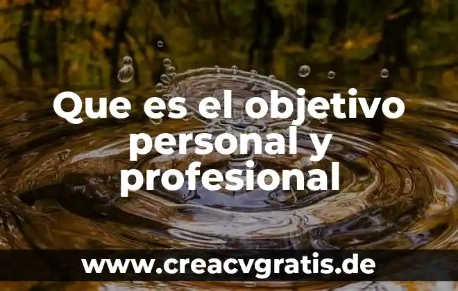 Que es un objetivo educacionales 5 Que es el objetivo personal y profesional