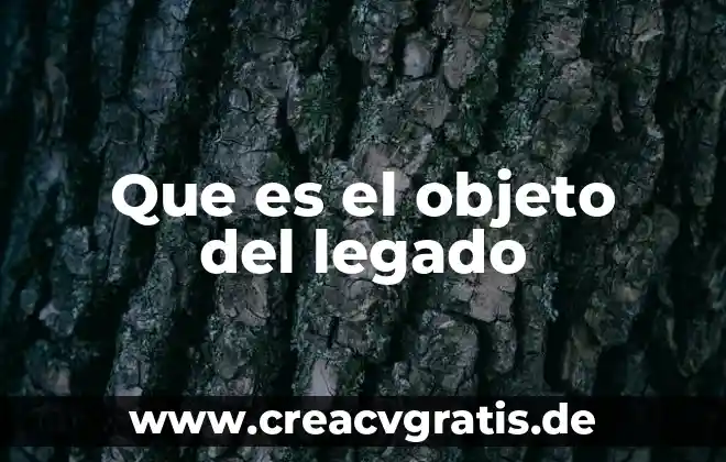 Que es el paradigma ambiental 5 Que es el objeto del legado