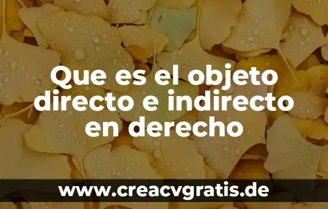 Que es franquicia en derecho mercantil 4 Que es el objeto directo e indirecto en derecho