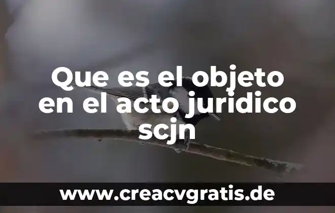Que es objeto indirecto con su significado estructura y ejemples 5 Que es el objeto en el acto juridico scjn