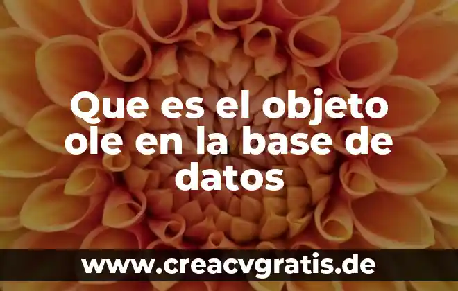 Que es objeto de derechos 8 Que es el objeto ole en la base de datos
