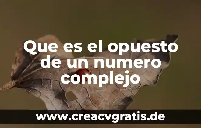 Pastilla número 209 que es 3 Que es el opuesto de un numero complejo