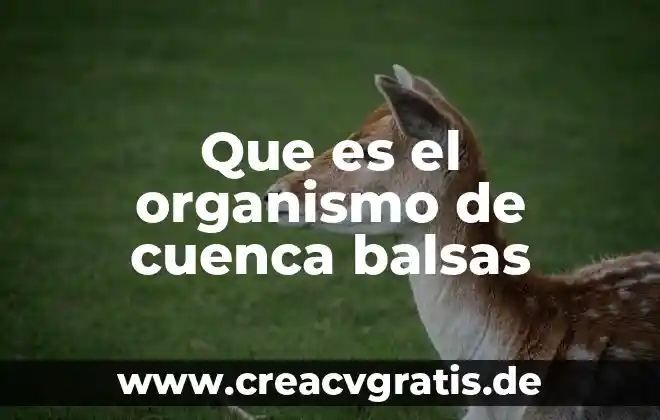 Que es una cuenca de agua 4 Que es el organismo de cuenca balsas