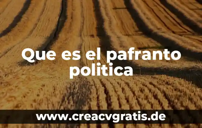 Que es estridente en politica 6 Que es el pafranto politica
