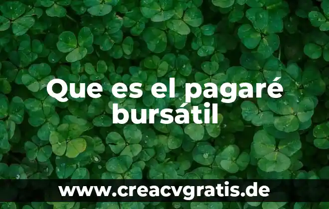 Que es un pagare y tipos de pagares 6 Que es el pagaré bursátil
