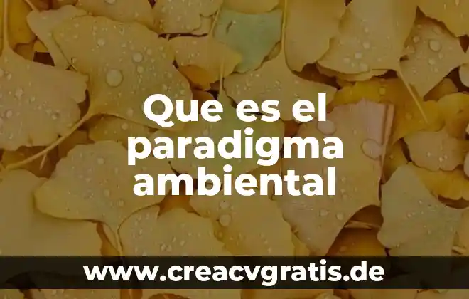 Para sole que es la comprensión 8 Que es el paradigma ambiental