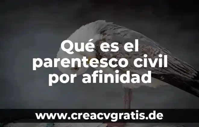 Que es un capitulo estudiantil de ing civil 7 Qué es el parentesco civil por afinidad