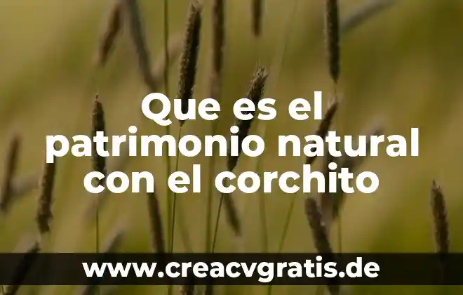Investigación que es patrimonio natural 3 Que es el patrimonio natural con el corchito