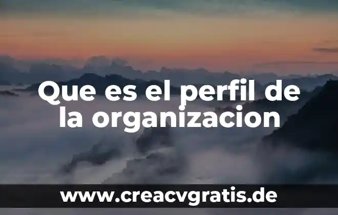 Que es una organizacion tecnica de una empresa 5 Que es el perfil de la organizacion