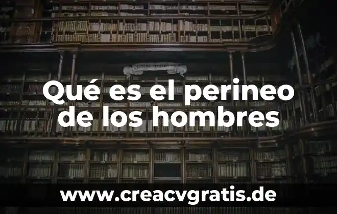 Que es un faje para los hombres 7 Qué es el perineo de los hombres