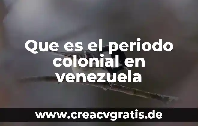 Que es administracion colonial 5 Que es el periodo colonial en venezuela