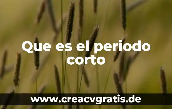 Que es consumo del periodo iusacell 7 Que es el periodo corto