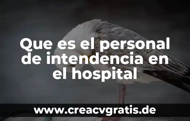 Que es el agua del hospital 6 Que es el personal de intendencia en el hospital