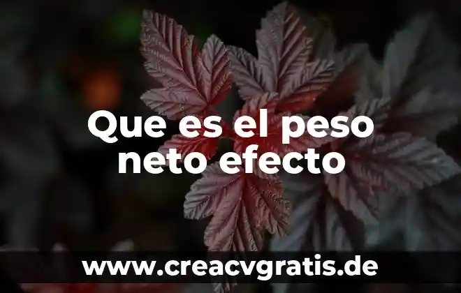 Qué es efecto fuego 8 Que es el peso neto efecto