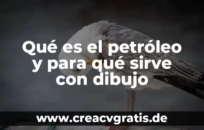 Que es planta en dibujo tecnico 7 Qué es el petróleo y para qué sirve con dibujo