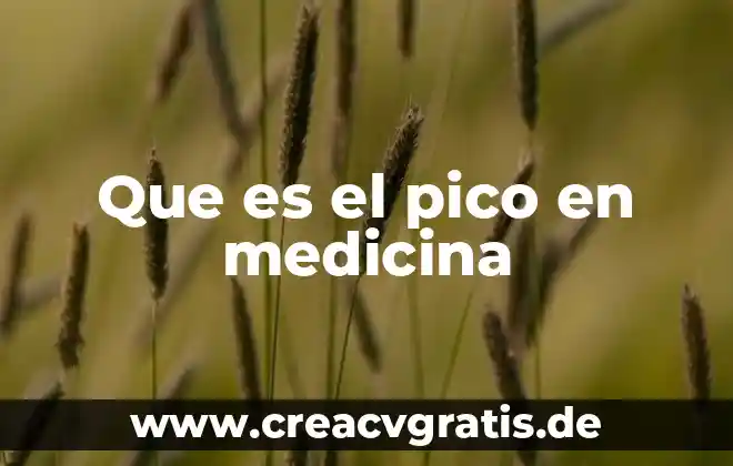 La muerte desde la medicina que es 6 Que es el pico en medicina