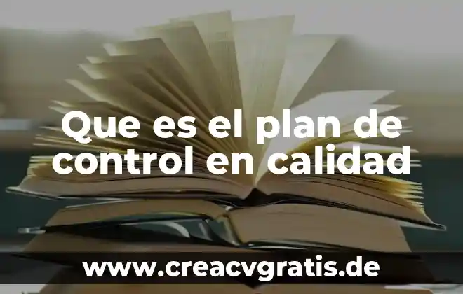 Que es el tiempo de calidad 6 Que es el plan de control en calidad