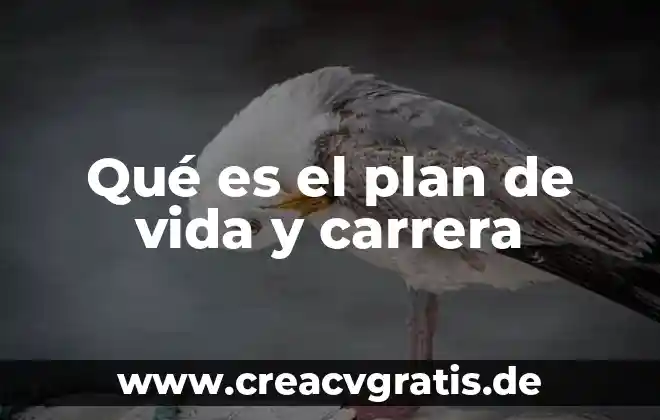 Qué es señal analógica y señal digital 6 Qué es el plan de vida y carrera
