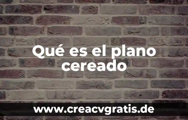 Que es plano transversal significado 6 Qué es el plano cereado