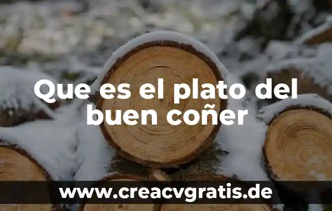 Qué es del plato del buen comer 4 Que es el plato del buen coñer
