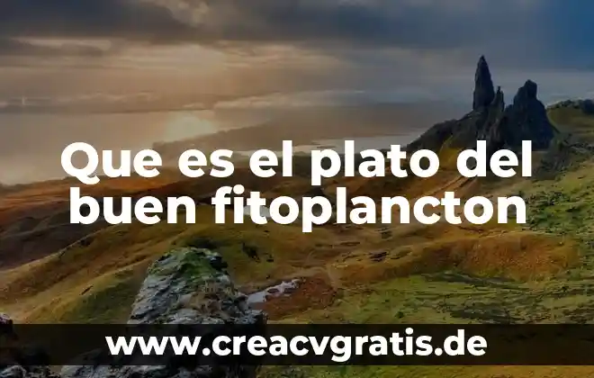 Qué es del plato del buen comer 3 Que es el plato del buen fitoplancton