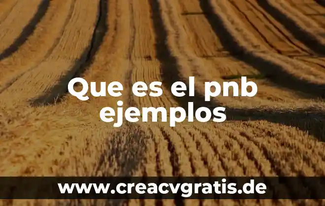 Que es silabica y ejemplos 6 Que es el pnb ejemplos