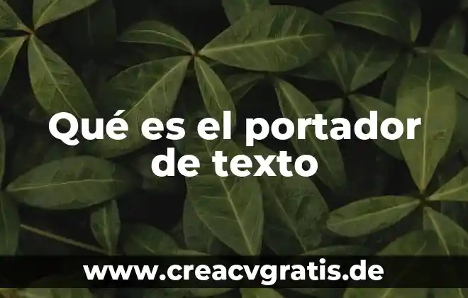 Que es un operador de texto en Excel 5 Qué es el portador de texto