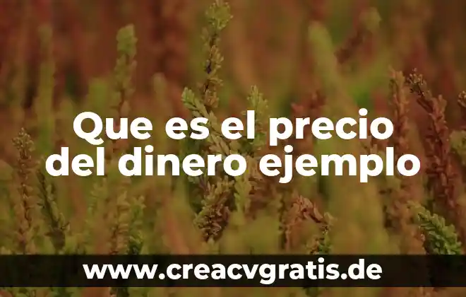 Que es honorarios ejemplo 8 Que es el precio del dinero ejemplo