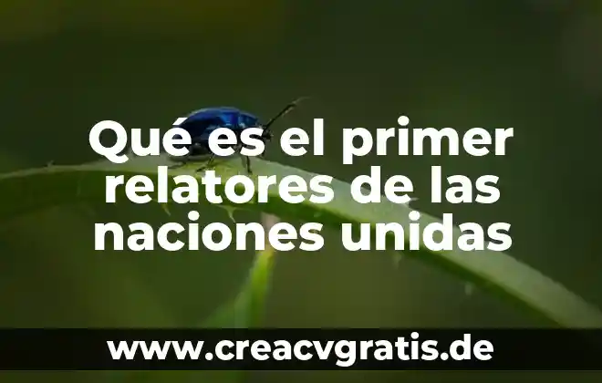 Qué es la sociedad de las naciones 5 Qué es el primer relatores de las naciones unidas