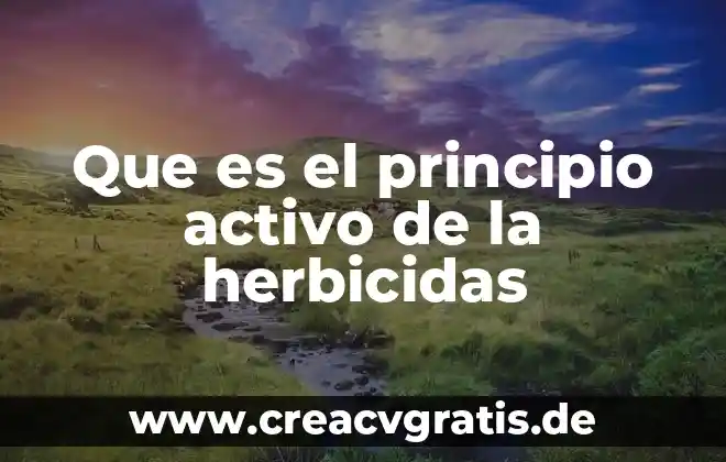 Que es un sujeto activo determinado 8 Que es el principio activo de la herbicidas
