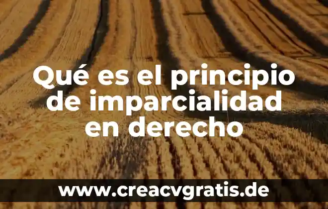 Que es un principio teorico o cientifico 5 Qué es el principio de imparcialidad en derecho