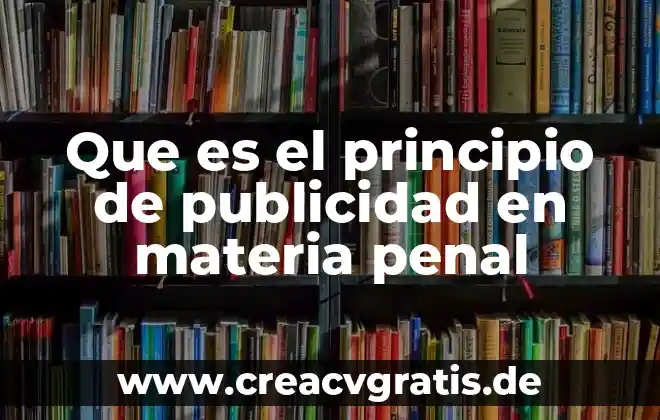 Que es tentativa en derecho penal ejemplos 4 Que es el principio de publicidad en materia penal