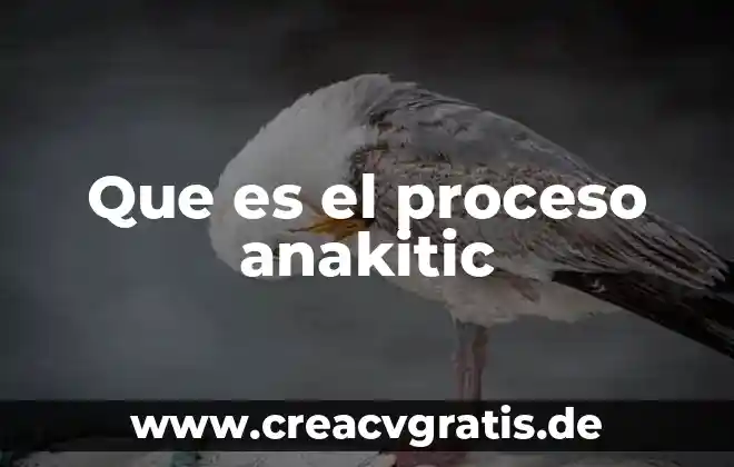 Que es el proceso cognitivo conductual 7 Que es el proceso anakitic