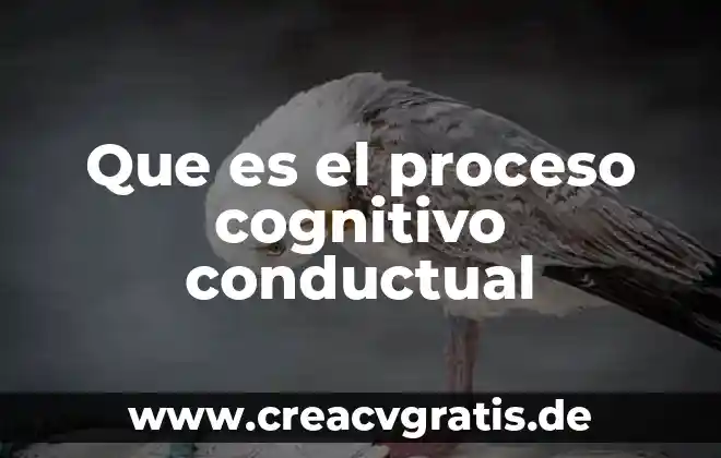 Que es un proceso complejo 3 Que es el proceso cognitivo conductual
