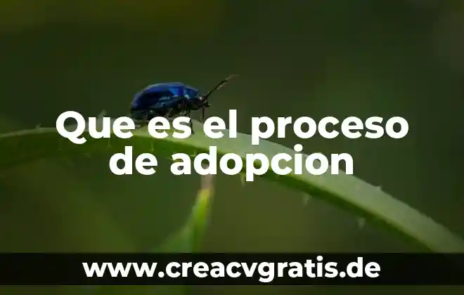 Qué es un proceso síncrono y asíncrono 4 Que es el proceso de adopcion