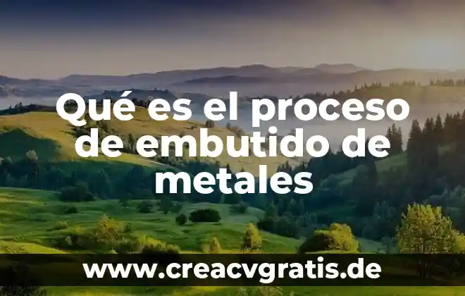 Que es el proceso cognitivo conductual 3 Qué es el proceso de embutido de metales