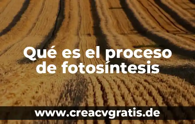 Qué es un proceso síncrono y asíncrono 6 Qué es el proceso de fotosíntesis