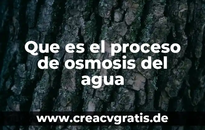 Camisa de agua que es 5 Que es el proceso de osmosis del agua