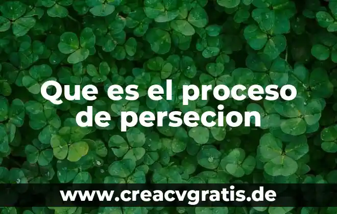 Que es el oso de agua yahoo 8 Que es el proceso de persecion