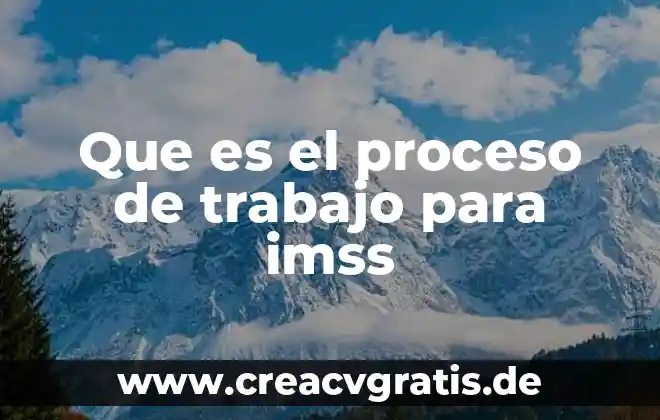 Defina que es la teoría general del proceso 6 Que es el proceso de trabajo para imss