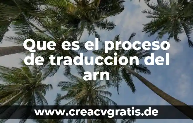 Que es un asalto traducción en ingles 3 Que es el proceso de traduccion del arn