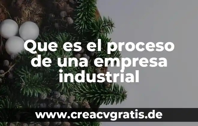 Que es ser viejo verde 7 Que es el proceso de una empresa industrial
