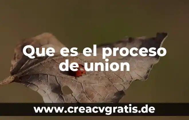 Qué es unión química en química 3 Que es el proceso de union